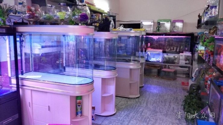 加盟森森水族館怎么樣