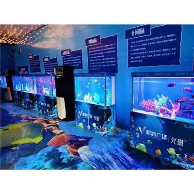 水族館經營范圍有哪些項目（常見的水族館經營范圍）