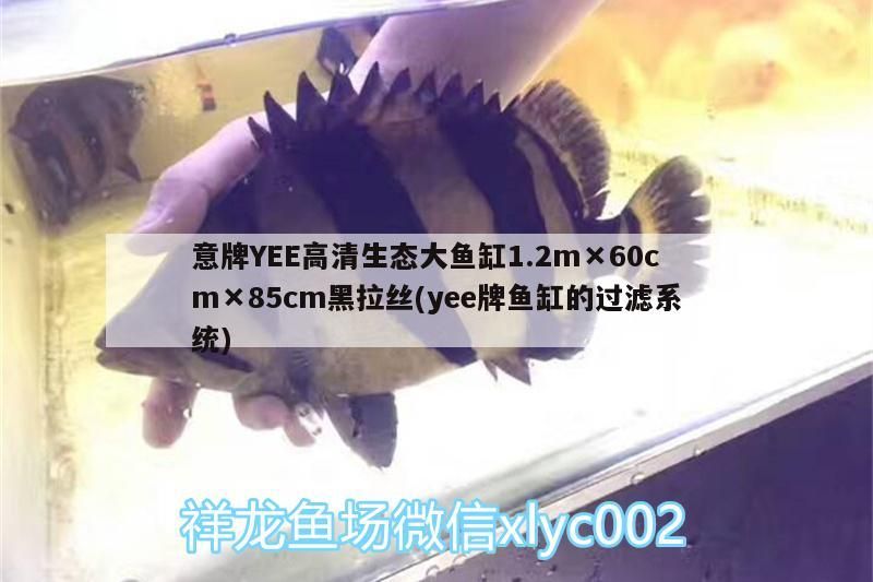 意牌YEE高清生態(tài)大魚缸1.2m×60cm×85cm黑拉絲(yee牌魚缸的過(guò)濾系統(tǒng))