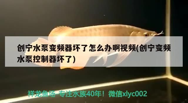 魚缸過濾器選購指南:自制魚缸過濾器魚缸上置過濾器對于養魚愛好者的必備知識 創寧水泵變頻器壞了怎么辦啊視頻(創寧變頻水泵控制器壞了) 創寧水族 創寧水泵變頻器壞了怎么辦啊視頻(創寧變頻水泵控制器壞了) 創寧水泵變頻器壞了怎么辦啊視頻(創寧變頻水泵控制器壞了) 創寧水族