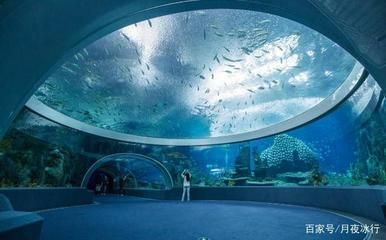 水族館建造費(fèi)用標(biāo)準(zhǔn)：水族館設(shè)計(jì)創(chuàng)意案例分享