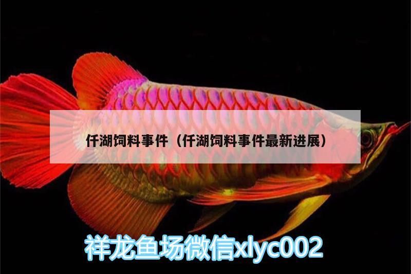 仟湖飼料事件（仟湖飼料事件最新進展）