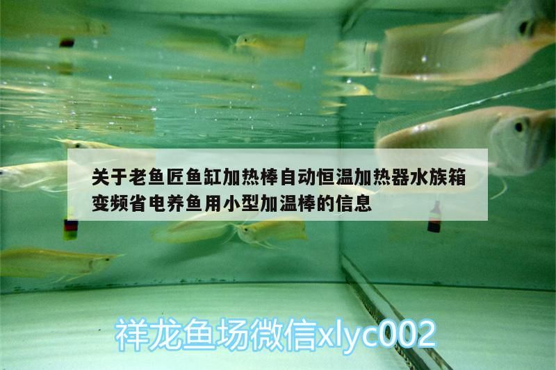 關于老魚匠魚缸加熱棒自動恒溫加熱器水族箱變頻省電養魚用小型加溫棒的信息 關于老魚匠魚缸加熱棒自動恒溫加熱器水族箱變頻省電養魚用小型加溫棒的信息 老魚匠