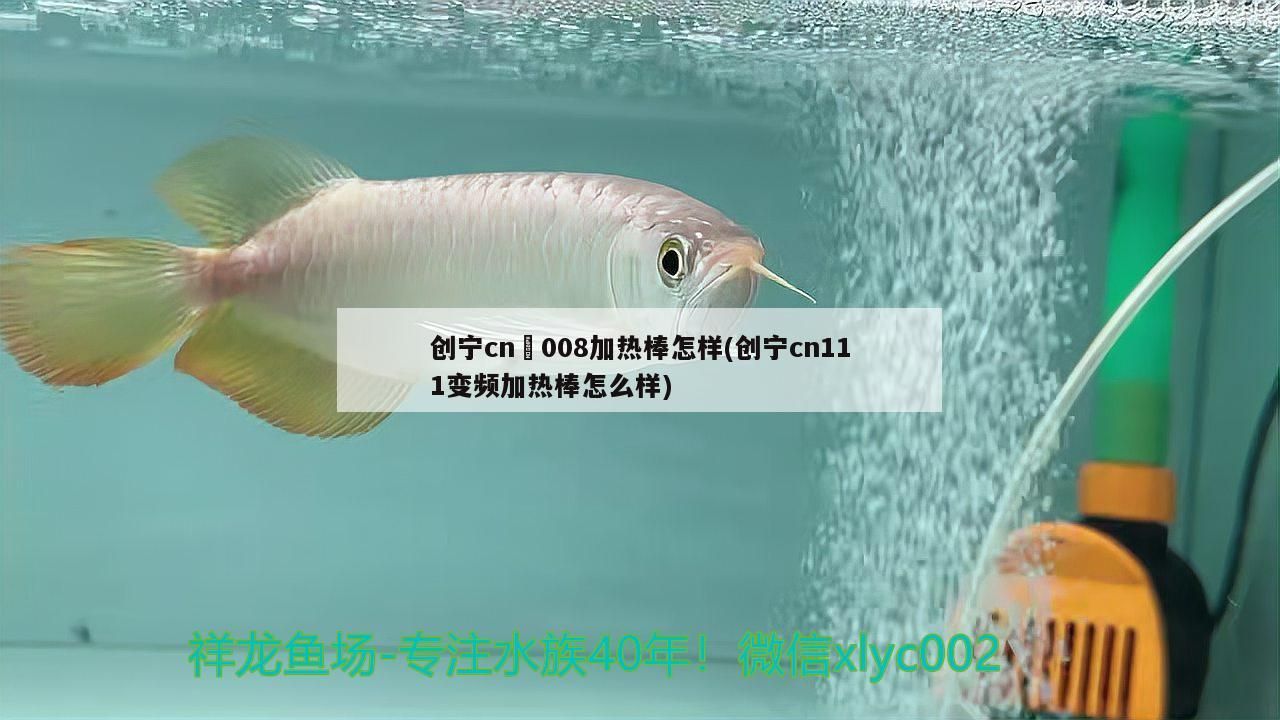 創寧cn–008加熱棒怎樣(創寧cn111變頻加熱棒怎么樣)