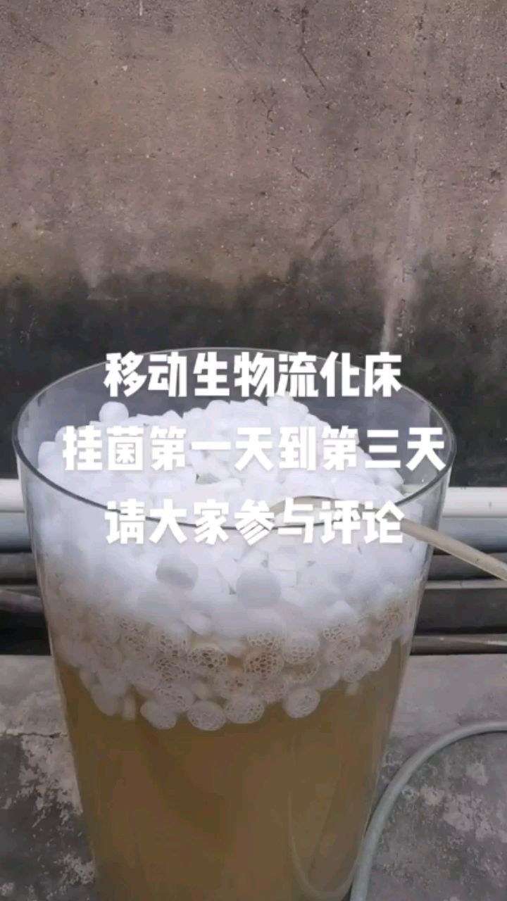 佛山市順德區(qū)大良順生水族器材店