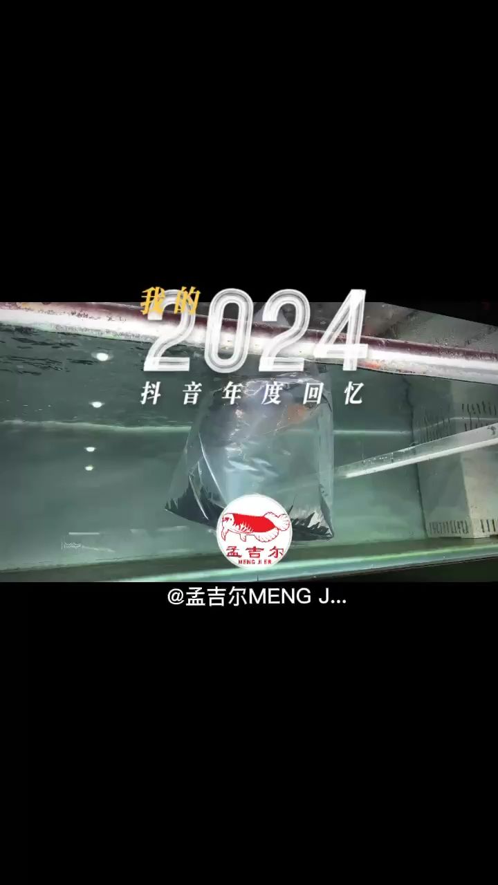 一路風(fēng)塵 從未停止-孟吉爾紅龍 一路風(fēng)塵 從未停止-孟吉爾紅龍 龍魚(yú)論壇