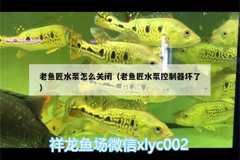老魚匠水泵怎么關閉（老魚匠水泵控制器壞了）
