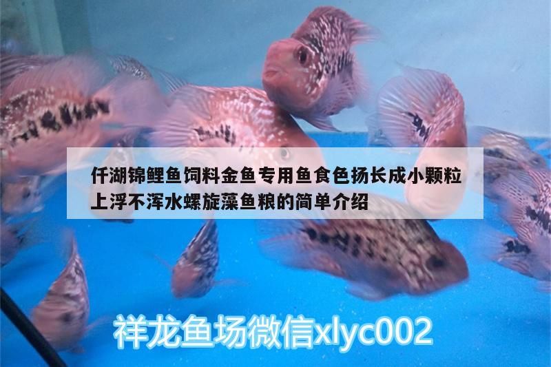 仟湖錦鯉魚飼料金魚專用魚食色揚長成小顆粒上浮不渾水螺旋藻魚糧的簡單介紹