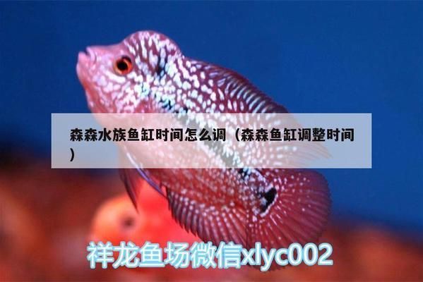速倍妥燈怎么樣（速倍妥效果怎么樣）