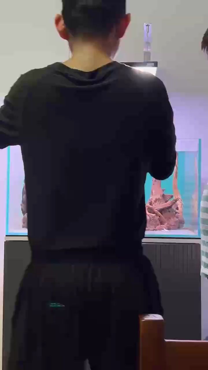 接上條視頻 接上條視頻 龍魚論壇