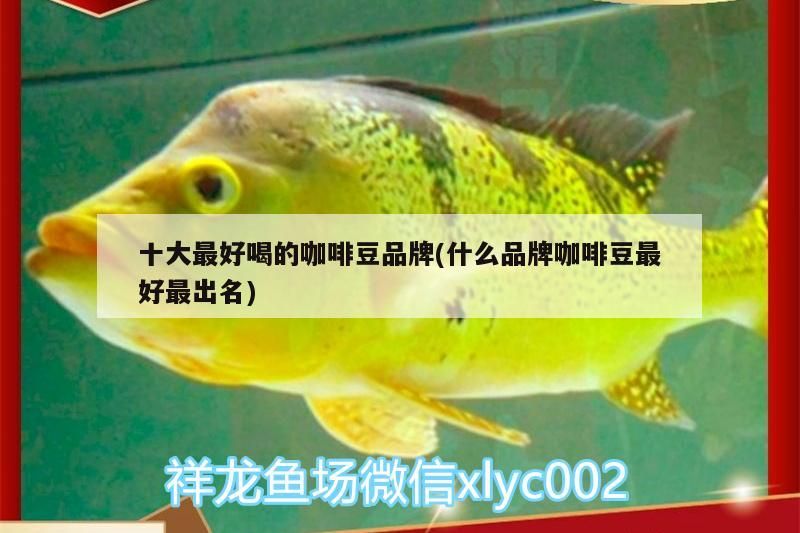 魚缸用增氧泵價格是多少:魚缸增氧機-xtrac增氧機-xtrac增氧機 十大最好喝的咖啡豆品牌(什么品牌咖啡豆最好最出名) 馬來西亞咖啡 十大最好喝的咖啡豆品牌(什么品牌咖啡豆最好最出名) 十大最好喝的咖啡豆品牌(什么品牌咖啡豆最好最出名) 馬來西亞咖啡