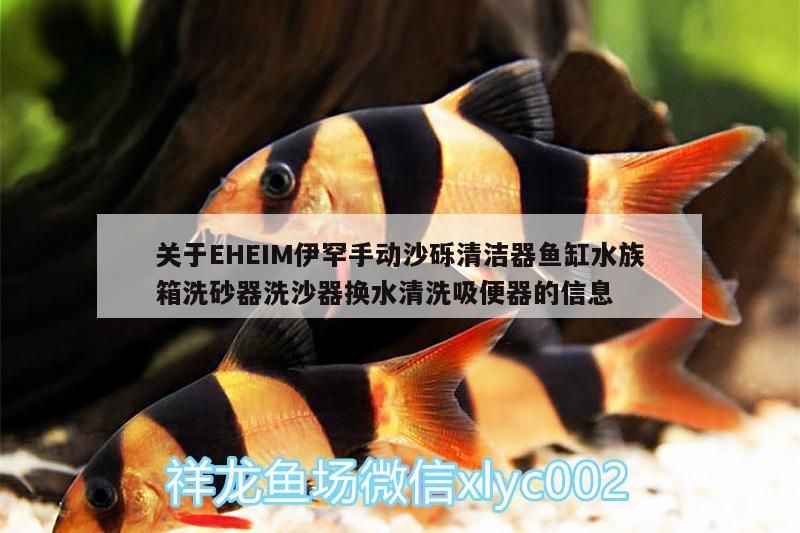 魚缸過濾器選購指南:自制魚缸過濾器魚缸上置過濾器對于養魚愛好者的必備知識 關于EHEIM伊罕手動沙礫清潔器魚缸水族箱洗砂器洗沙器換水清洗吸便器的信息 伊罕水族 關于EHEIM伊罕手動沙礫清潔器魚缸水族箱洗砂器洗沙器換水清洗吸便器的信息 關于EHEIM伊罕手動沙礫清潔器魚缸水族箱洗砂器洗沙器換水清洗吸便器的信息 伊罕水族