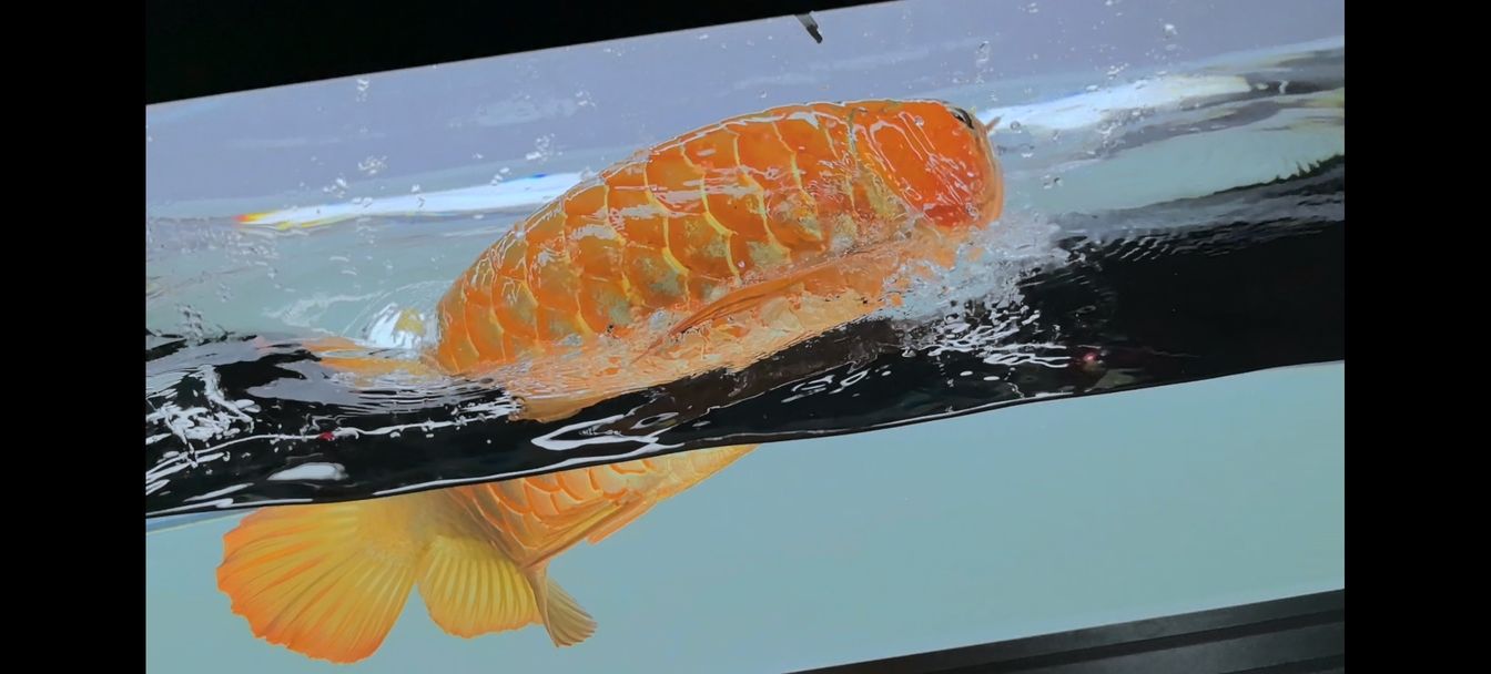 蘇瓦納蓮花漁場 蘇瓦納蓮花漁場 龍魚論壇