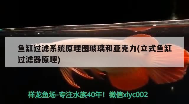 魚缸過濾系統原理圖玻璃和亞克力(立式魚缸過濾器原理)