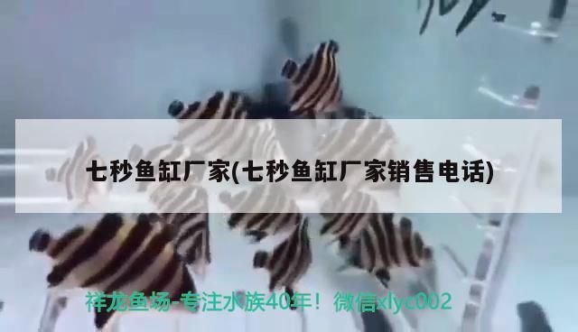 觀賞魚什么時候生小魚（小魚肚子大了還要多久生小魚）