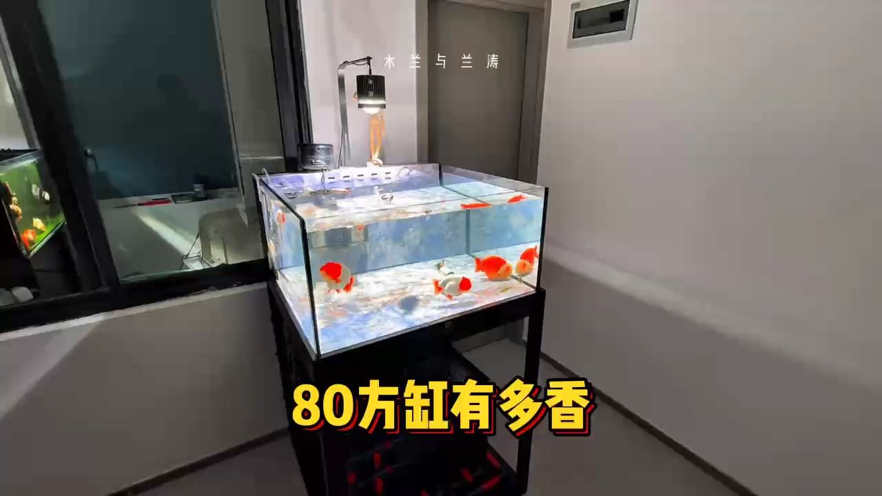 80方缸有多香