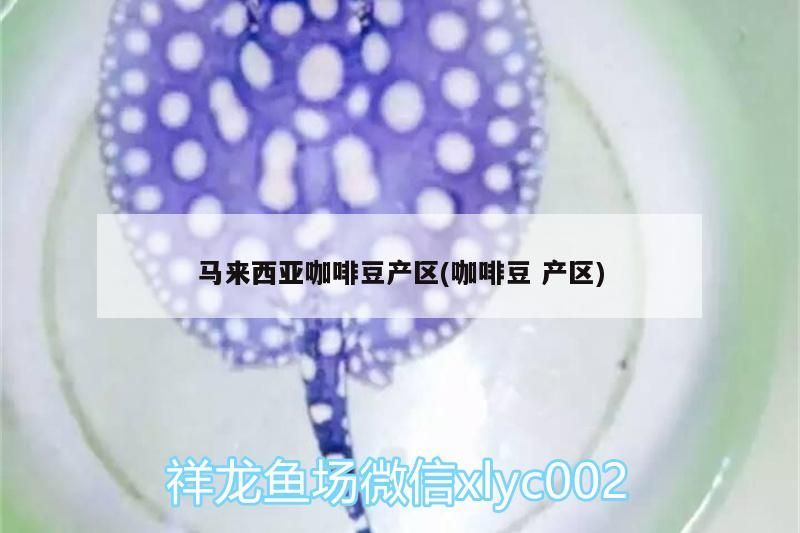 馬來西亞咖啡豆產區(咖啡豆產區) 馬來西亞咖啡豆產區(咖啡豆產區) 馬來西亞咖啡