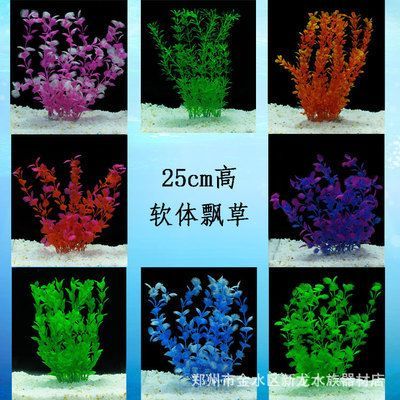 水族館去哪里拿貨便宜（成都天華農副產品批發市場） 水族館去哪里拿貨便宜（成都天華農副產品批發市場） 水族館百科（水族館加盟） 第3張