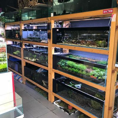 水族館去哪里拿貨便宜（成都天華農副產品批發市場） 水族館去哪里拿貨便宜（成都天華農副產品批發市場） 水族館百科（水族館加盟） 第5張