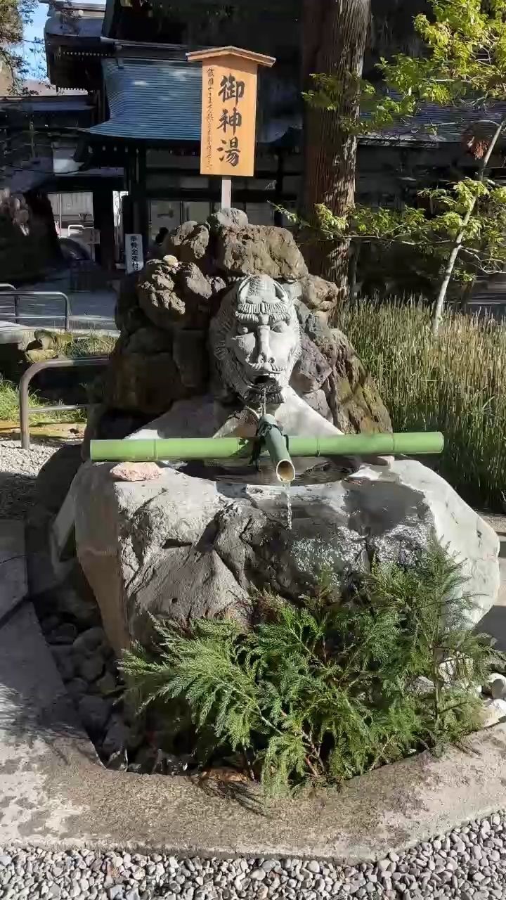 溫泉 溫泉 龍魚論壇