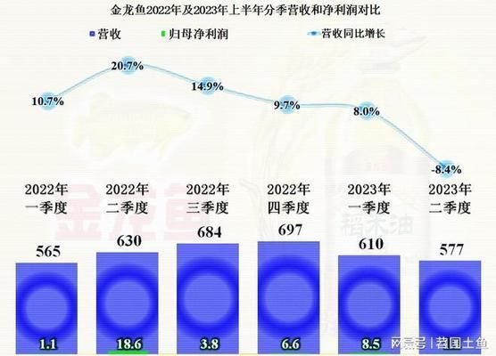 龍魚和金龍魚區別:龍魚與金龍魚的區別 金龍魚百科 第4張 龍魚和金龍魚區別:龍魚與金龍魚的區別 龍魚和金龍魚區別:龍魚與金龍魚的區別 金龍魚百科 第4張