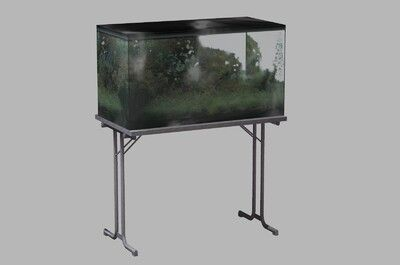 2米大魚缸用多厚的玻璃：2米長的大魚缸，選擇合適的玻璃厚度是非常重要的，關系到安全性