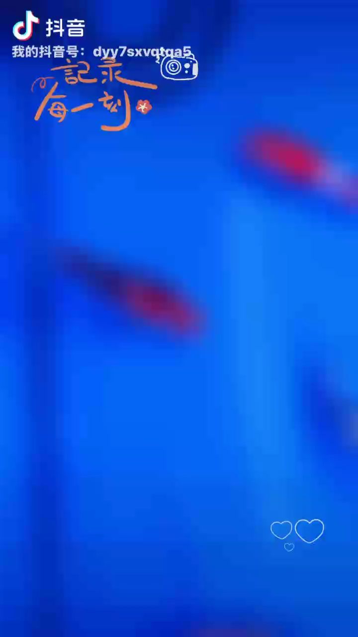 錦鯉圈 錦鯉圈 龍魚論壇