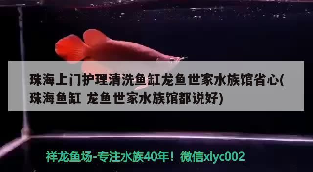 珠海上門護理清洗魚缸龍魚世家水族館省心(珠海魚缸龍魚世家水族館都說好) 珠海上門護理清洗魚缸龍魚世家水族館省心(珠海魚缸龍魚世家水族館都說好) 黃金貓魚百科