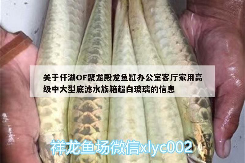 關于仟湖OF聚龍殿龍魚缸辦公室客廳家用高級中大型底濾水族箱超白玻璃的信息 關于仟湖OF聚龍殿龍魚缸辦公室客廳家用高級中大型底濾水族箱超白玻璃的信息 仟湖