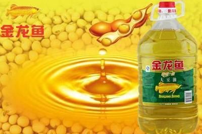 金龍魚品種多樣性介紹：常見的金龍魚品種及其特點介紹