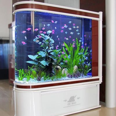 baoong魚缸：30篇寶瓶魚缸價格