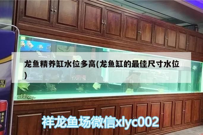 我覺得應(yīng)該叫你吃吐