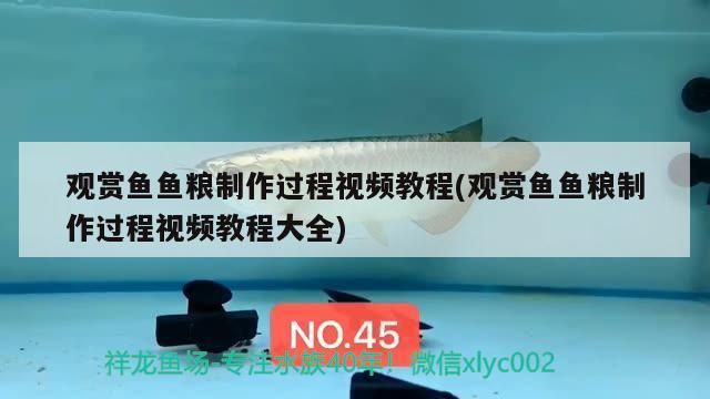 觀賞魚魚糧制作過程視頻教程(觀賞魚魚糧制作過程視頻教程大全) 觀賞魚魚糧制作過程視頻教程(觀賞魚魚糧制作過程視頻教程大全) 黃金貓魚百科