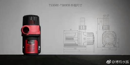博特ts和th哪款好：博特ts8000和th哪款好 博特ts和th哪款好：博特ts8000和th哪款好 博特水族 第3張