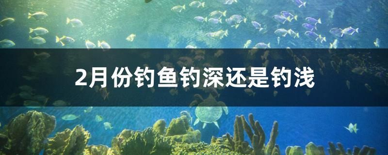 佛山魚缸清洗服務中心地址在哪里啊（家里魚缸增氧泵聲音大！想買個超靜音的增氧）