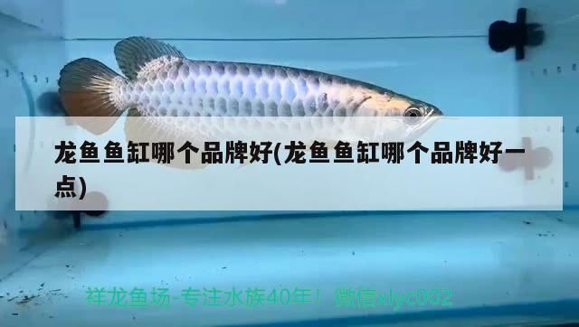 日照魚缸維修電話號碼多少（屋頂養魚方法和技巧有哪些） 日照魚缸維修電話號碼多少（屋頂養魚方法和技巧有哪些） 全國水族館企業名錄 第2張