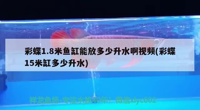 日照魚缸維修電話號碼多少（屋頂養魚方法和技巧有哪些） 日照魚缸維修電話號碼多少（屋頂養魚方法和技巧有哪些） 全國水族館企業名錄 第3張