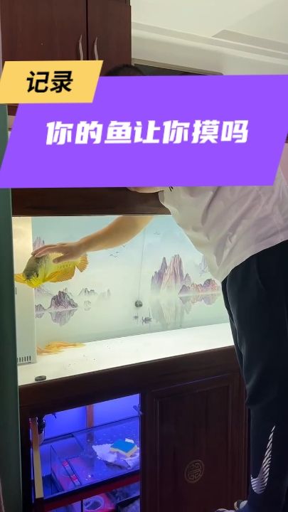 龍魚干蝦有營養(yǎng)嗎 和魚互動(dòng)互動(dòng) 龍魚論壇 和魚互動(dòng)互動(dòng) 和魚互動(dòng)互動(dòng) 龍魚論壇