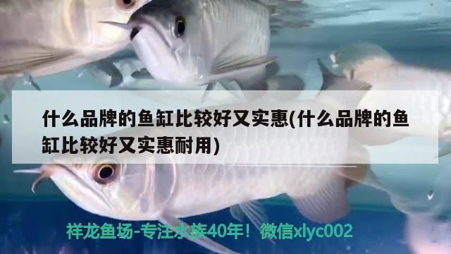 什么品牌的魚缸比較好又實惠(什么品牌的魚缸比較好又實惠耐用) 什么品牌的魚缸比較好又實惠(什么品牌的魚缸比較好又實惠耐用) 可麗愛魚缸