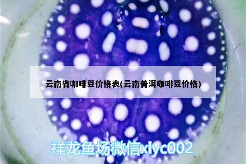 云南省咖啡豆價格表(云南普洱咖啡豆價格)
