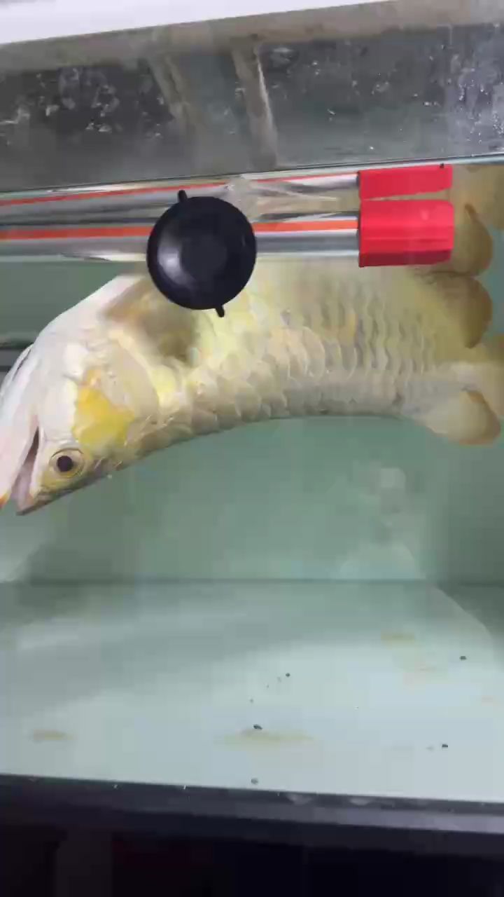 天冷，加熱泵壞了，掛了