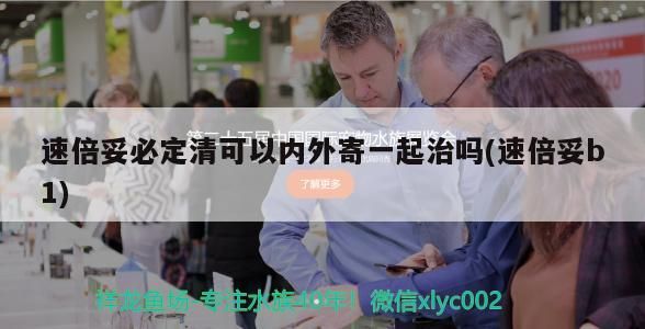 觀賞魚 速倍妥必定清可以內外寄一起治嗎(速倍妥b1) 速倍妥 速倍妥必定清可以內外寄一起治嗎(速倍妥b1) 速倍妥必定清可以內外寄一起治嗎(速倍妥b1) 速倍妥