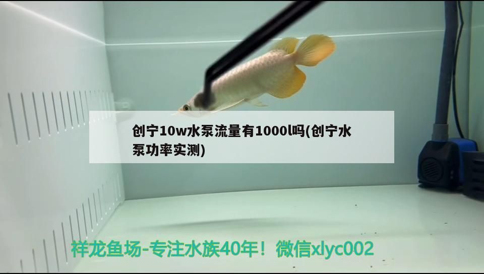 創(chuàng)寧10w水泵流量有1000l嗎(創(chuàng)寧水泵功率實(shí)測) 創(chuàng)寧10w水泵流量有1000l嗎(創(chuàng)寧水泵功率實(shí)測) 創(chuàng)寧水族