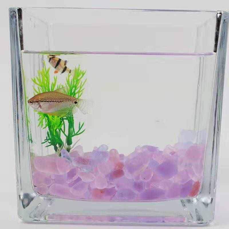 30x20x18魚缸放多少沙:魚缸底砂用量計(jì)算方法 魚缸百科 第2張 30x20x18魚缸放多少沙:魚缸底砂用量計(jì)算方法 30x20x18魚缸放多少沙:魚缸底砂用量計(jì)算方法 魚缸百科 第2張