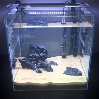 30x20x18魚缸放多少沙:魚缸底砂用量計(jì)算方法 魚缸百科 第4張 30x20x18魚缸放多少沙:魚缸底砂用量計(jì)算方法 30x20x18魚缸放多少沙:魚缸底砂用量計(jì)算方法 魚缸百科 第4張