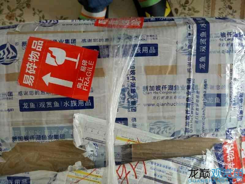 第六期搖一搖中的魚缸相當給力仟湖家的