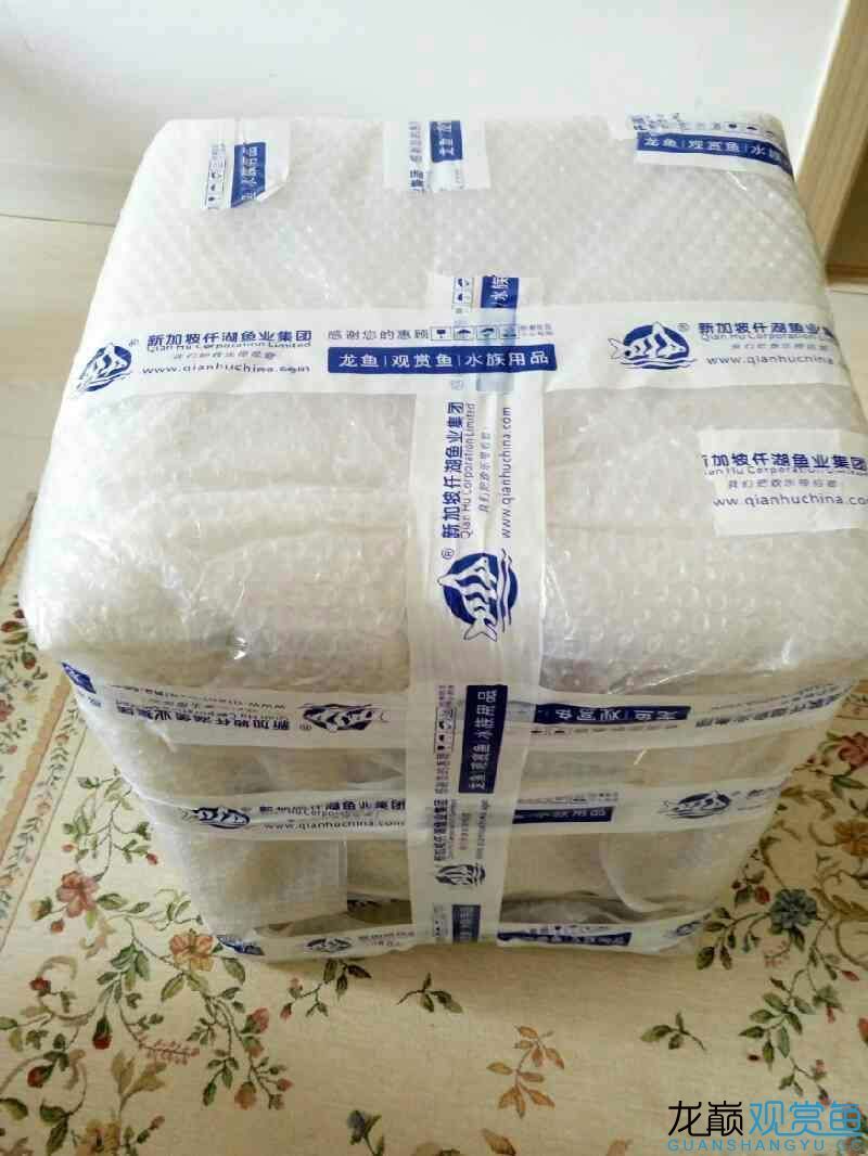 第六期搖一搖中的魚缸相當給力仟湖家的