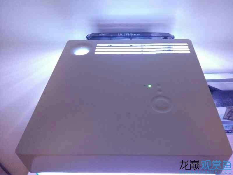 第六期搖一搖中的魚缸相當(dāng)給力仟湖家的 仟湖 第8張 第六期搖一搖中的魚缸相當(dāng)給力仟湖家的 第六期搖一搖中的魚缸相當(dāng)給力仟湖家的 仟湖 第8張