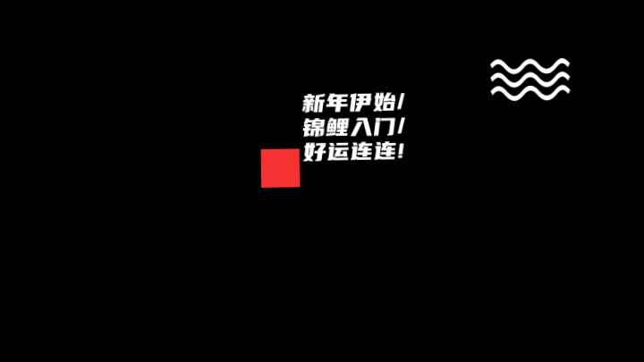 新年伊始，錦鯉入門，好運連連 新年伊始，錦鯉入門，好運連連 龍魚論壇