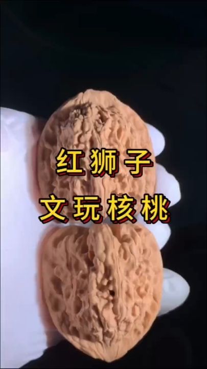 紅獅子核桃